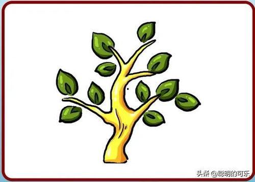 看图猜明星树叶彩虹,揭秘神秘明星的别样魅力